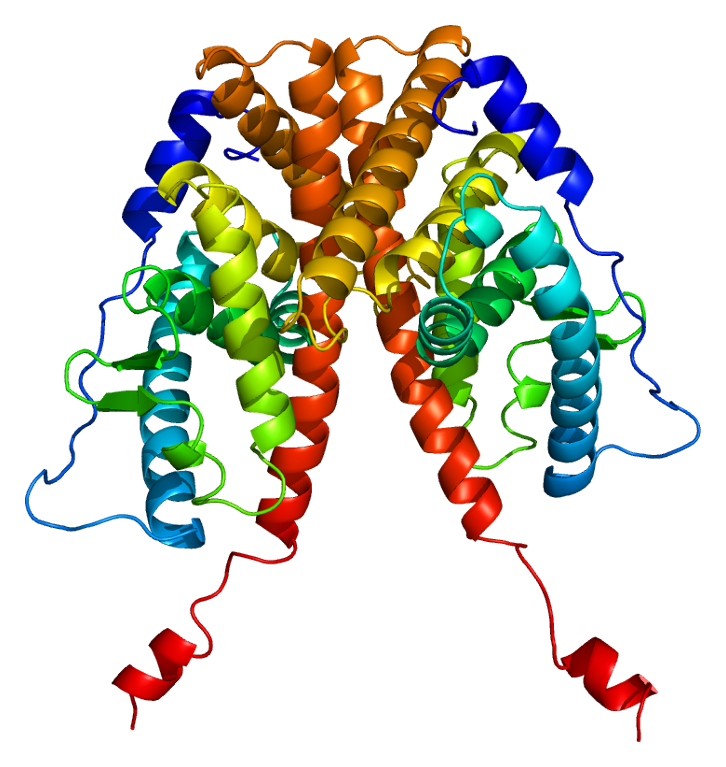 A protein 3D structure